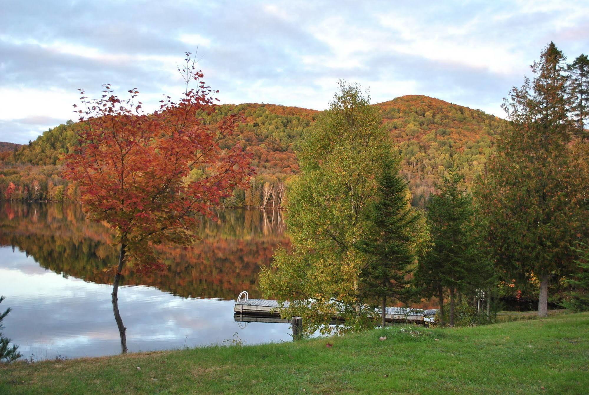 Motel Ours Bleu Lac-Saguay Dış mekan fotoğraf