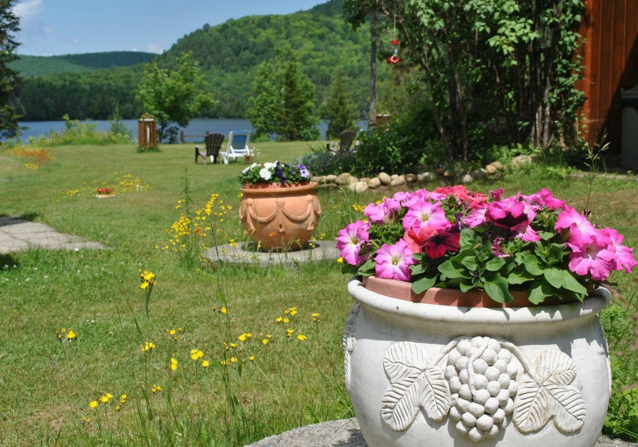 Motel Ours Bleu Lac-Saguay Dış mekan fotoğraf